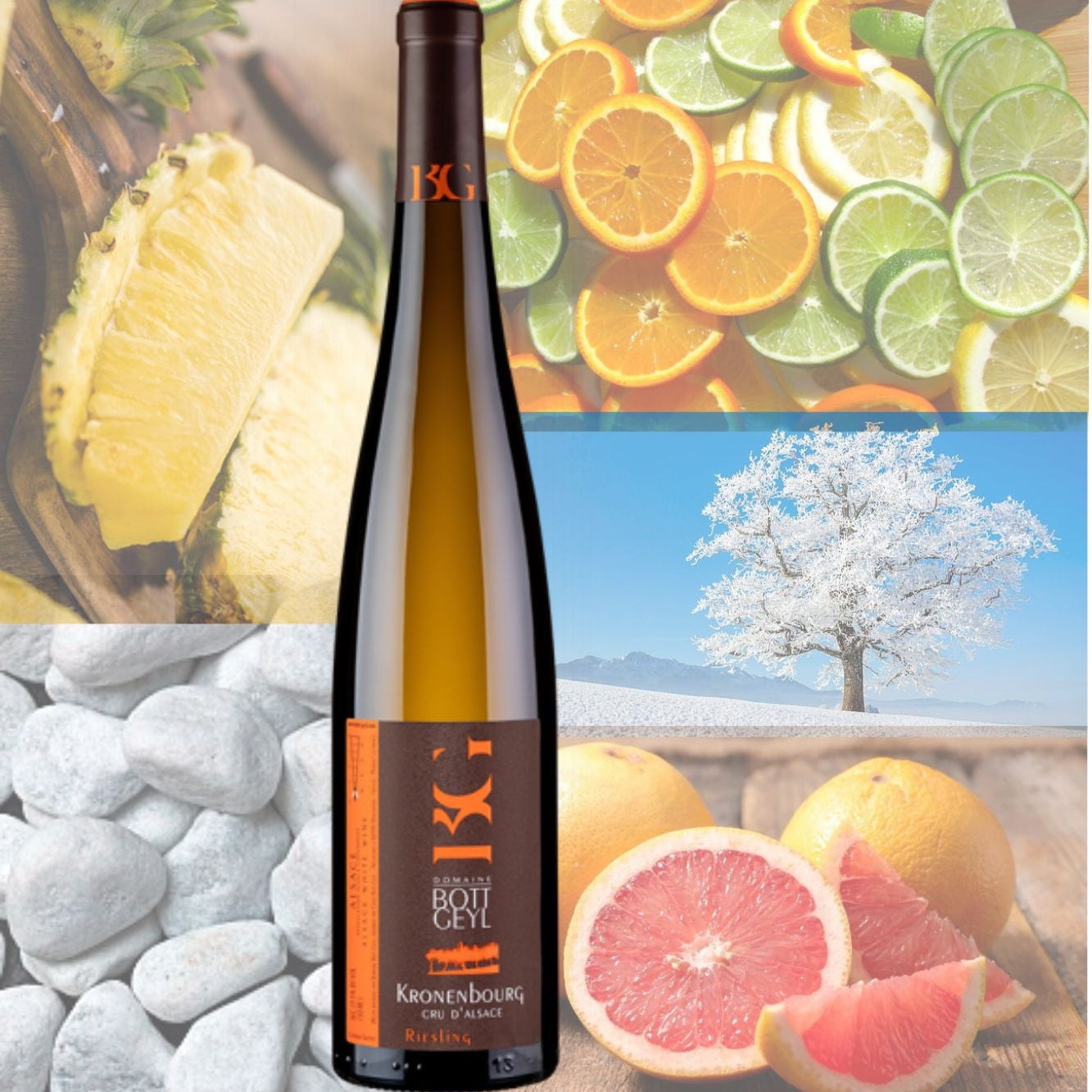 Bott-Geyl Riesling Cru d'Alsace Kronenbourg La Colline Couronnée 2020
