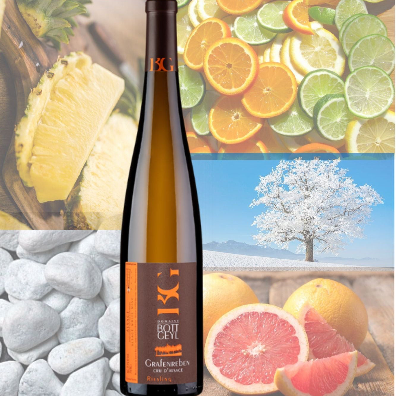 Bott-Geyl Riesling Cru d'Alsace Grafenreben Les Vignes du Comte 2020