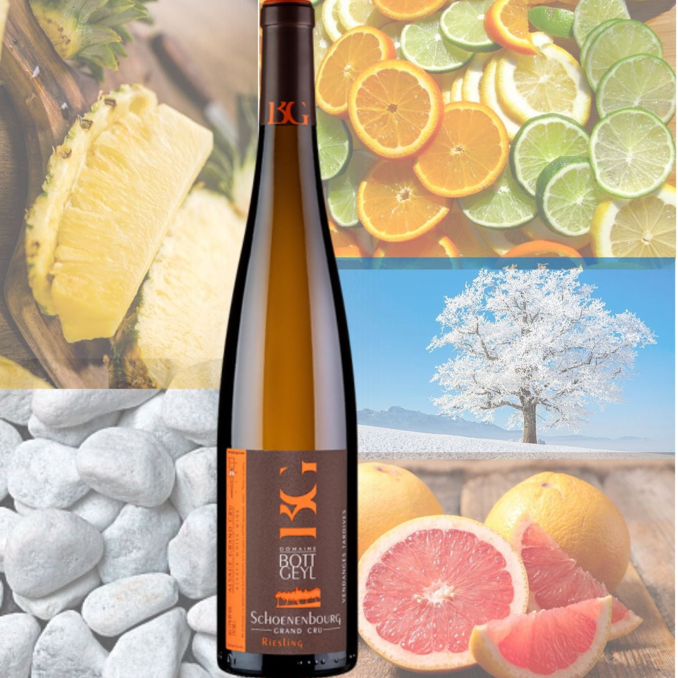 Bott-Geyl Riesling Grand Cru Schoenenbourg Vendanges Tardives 2015