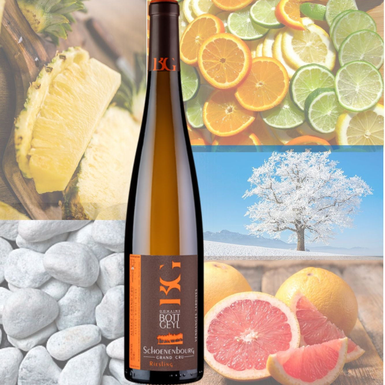 Bott-Geyl Riesling Grand Cru Schoenenbourg La Jolie Colline 2019