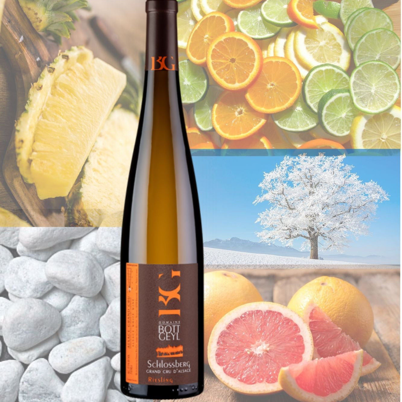Bott-Geyl Riesling Grand Cru Schlossberg La Montagne du Château 2019