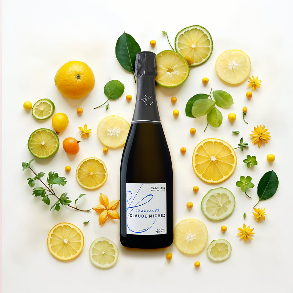 Claude Michez Sélection Blanc de Blancs Champagner Extra-Brut
